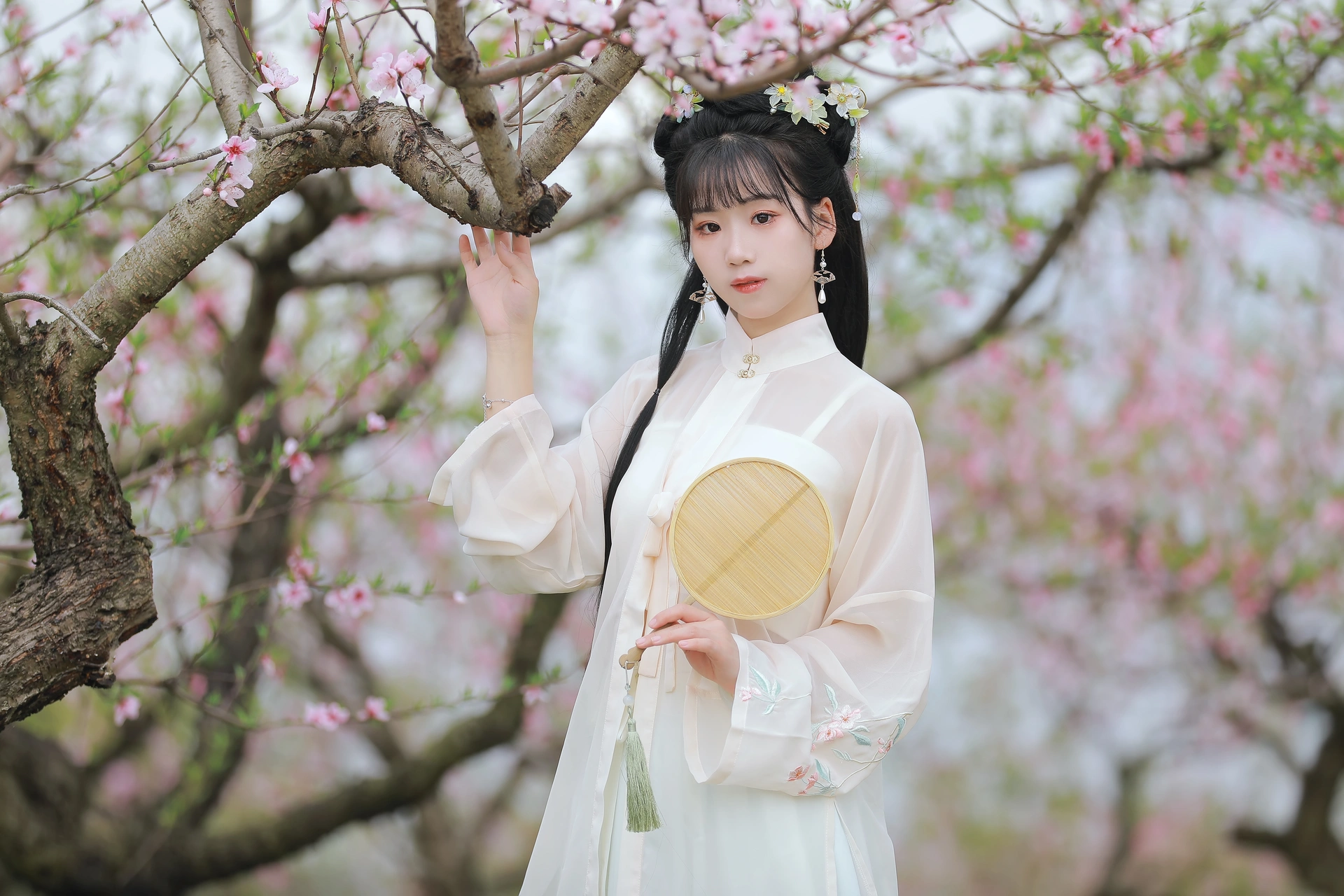 [YITUYU艺图语]2025.03.10 桃花 周周Ay 1